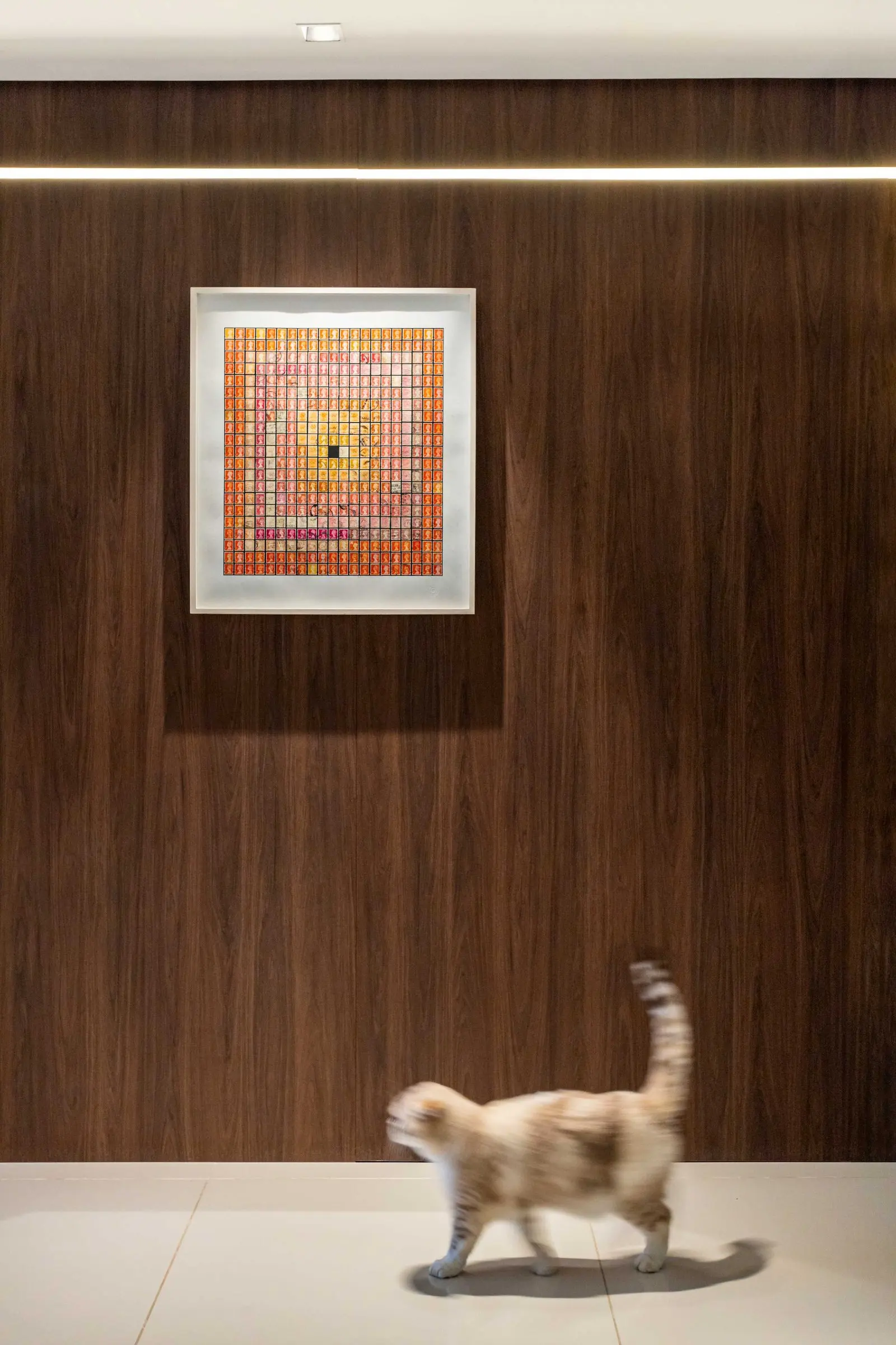 Painel de madeira com quadro colorido e gato passeando